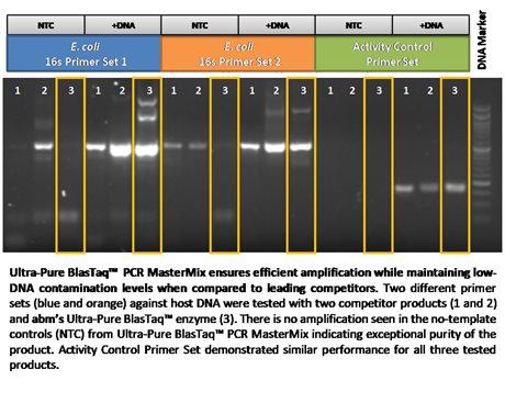 Ultra-Pure BlasTaq™ 2X PCR MasterMix