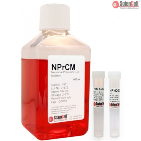 Phenol Red Free Human Neural Precursor Cell Medium-complete, 2 x 500 ml