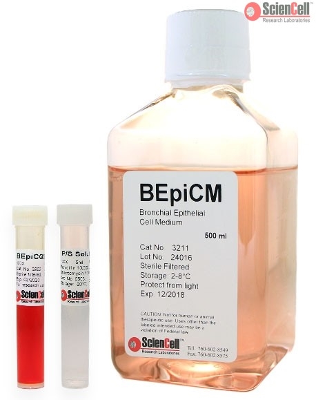 Human Bronchial Epithelial Cell Medium-basal, 2 x 500 ml