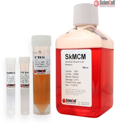 Human Skeletal Muscle Cell Medium, 2 x 500 ml