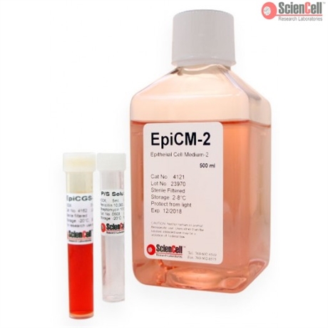 Human Epithelial Cell Medium-2, 2 x 500 ml