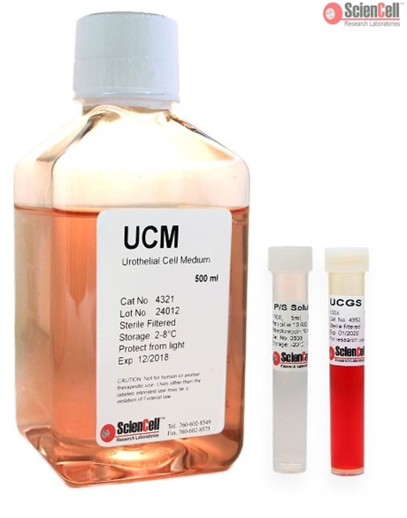 Human Urothelial Cell Medium, 2 x 500 ml