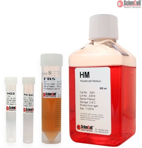 Human Hepatocyte Medium, 2 x 500 ml