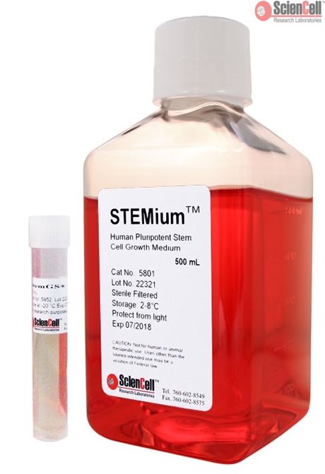 STEMium® Human Pluripotent Stem Cell Growth Medium, 2 x 500 ml