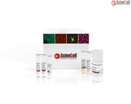 Absolute Mouse Mitochondrial DNA Copy Number Quantification qPCR Assay Kit