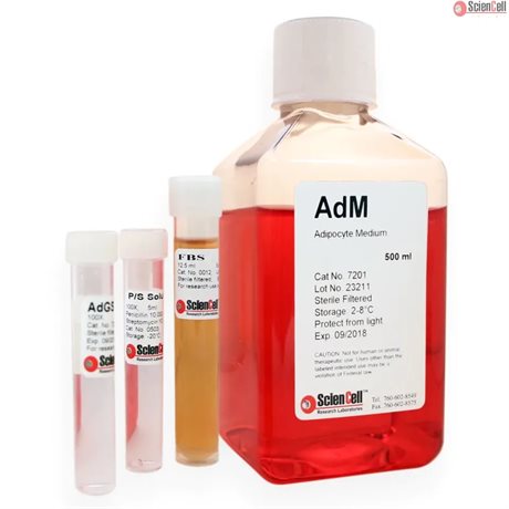Human Adipocyte Medium, 2x 500 ml