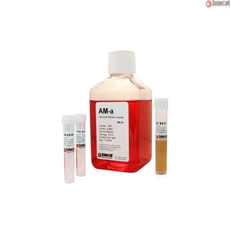 Phenol Red Free Animal Astrocyte Medium-basal, 2 x 500 ml