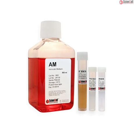 Glucose free Astrocyte Culture Medium-complete, Low Serum Medium