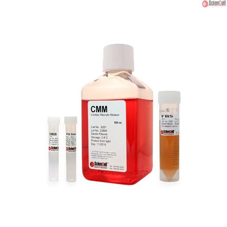 Glucose-free Cardiac  Myocyte Medium, 2x 500 ml