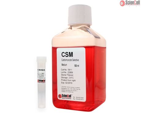 Human Cardiomyocyte Selective Medium-basal, 2 x 500 ml