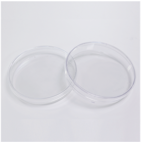 100 mm Cell Culture Dish