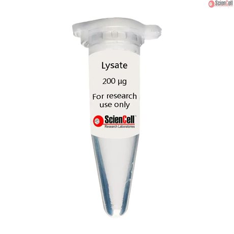 Human Mesenchymal Stem Cell-hepatic Lysate