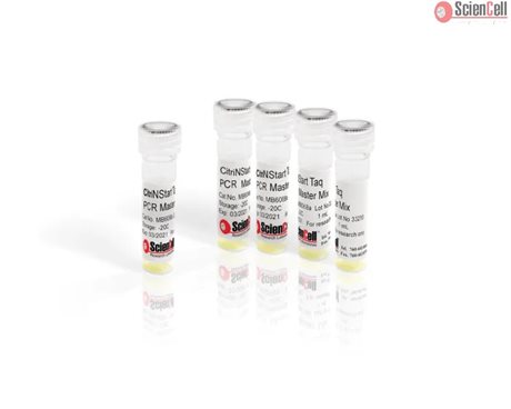 CitriNStart Taq PCR Master Mix, 2x