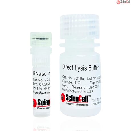 Direct Lysis Buffer for RT-qPCR