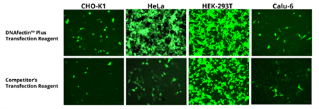 DNAfectin™ Plus Transfection Reagent