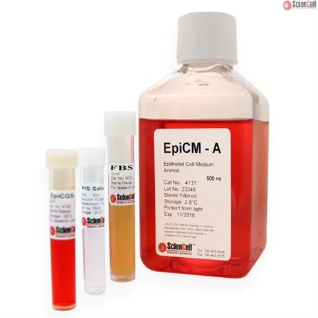 Human Epithelial Cell Medium-animal, 2 x 500 ml