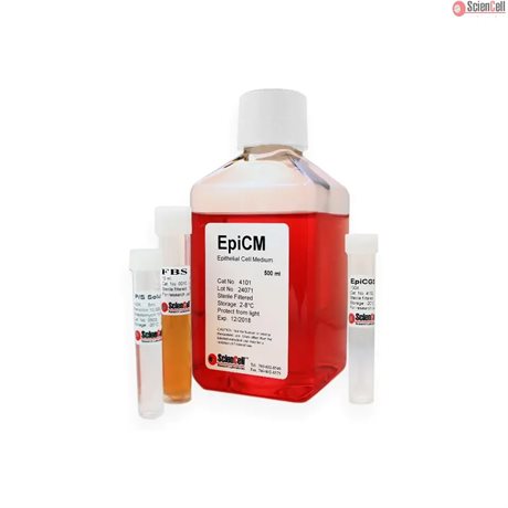 Human Epithelial Cell Medium-basal-phenol red free, 2x 500 ml