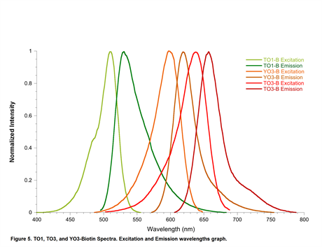 YO3-3PEG-Biotin Fluorophore