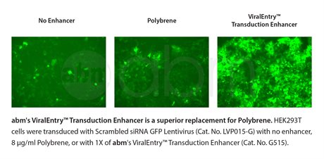 ViralEntry™ Transduction Enhancer