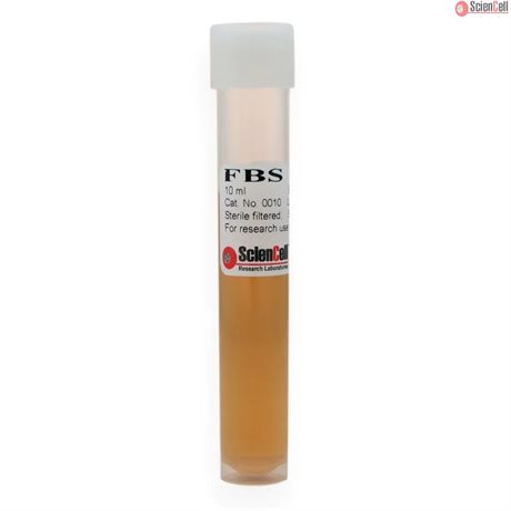 Fetal Bovine Serum