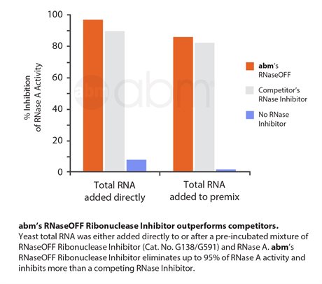 RNaseOFF Ribonuclease Inhibitor
