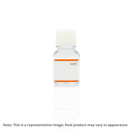 Penicillin/Streptomycin Solution