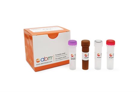 BlasTaq™ Probe One-Step RT-qPCR