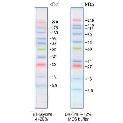 Opti-Protein Ultra Marker