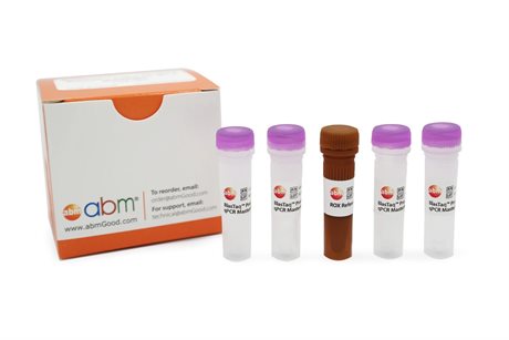 BlasTaq Probe 2X qPCR MasterMix