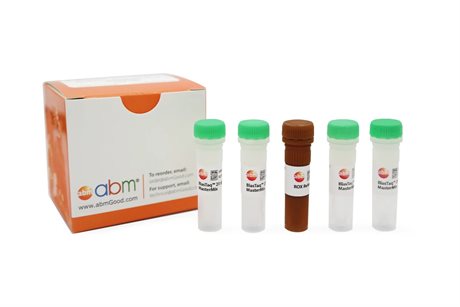 BlasTaq 2X qPCR MasterMix
