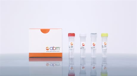 MegaFi One-Step RT-PCR Kit