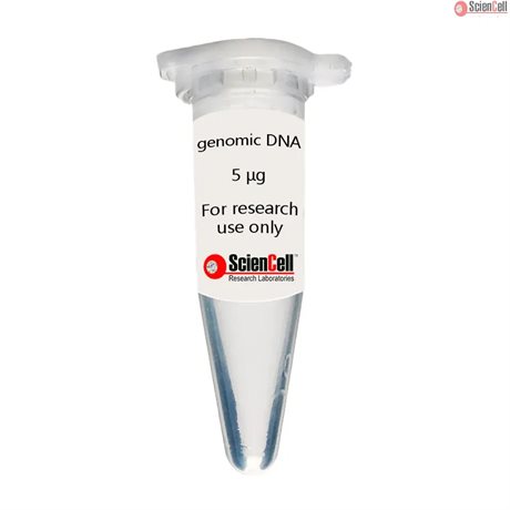 Human Esophageal Microvascular Endothelial Cell Genomic DNA, single donor