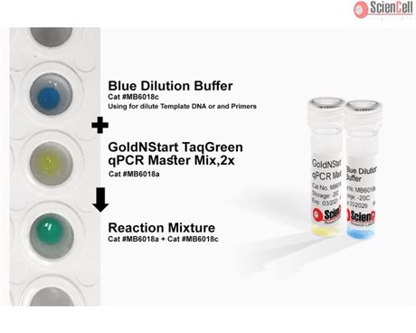 GoldNStart TaqGreen qPCR Master Mix with 2-Color Tracking