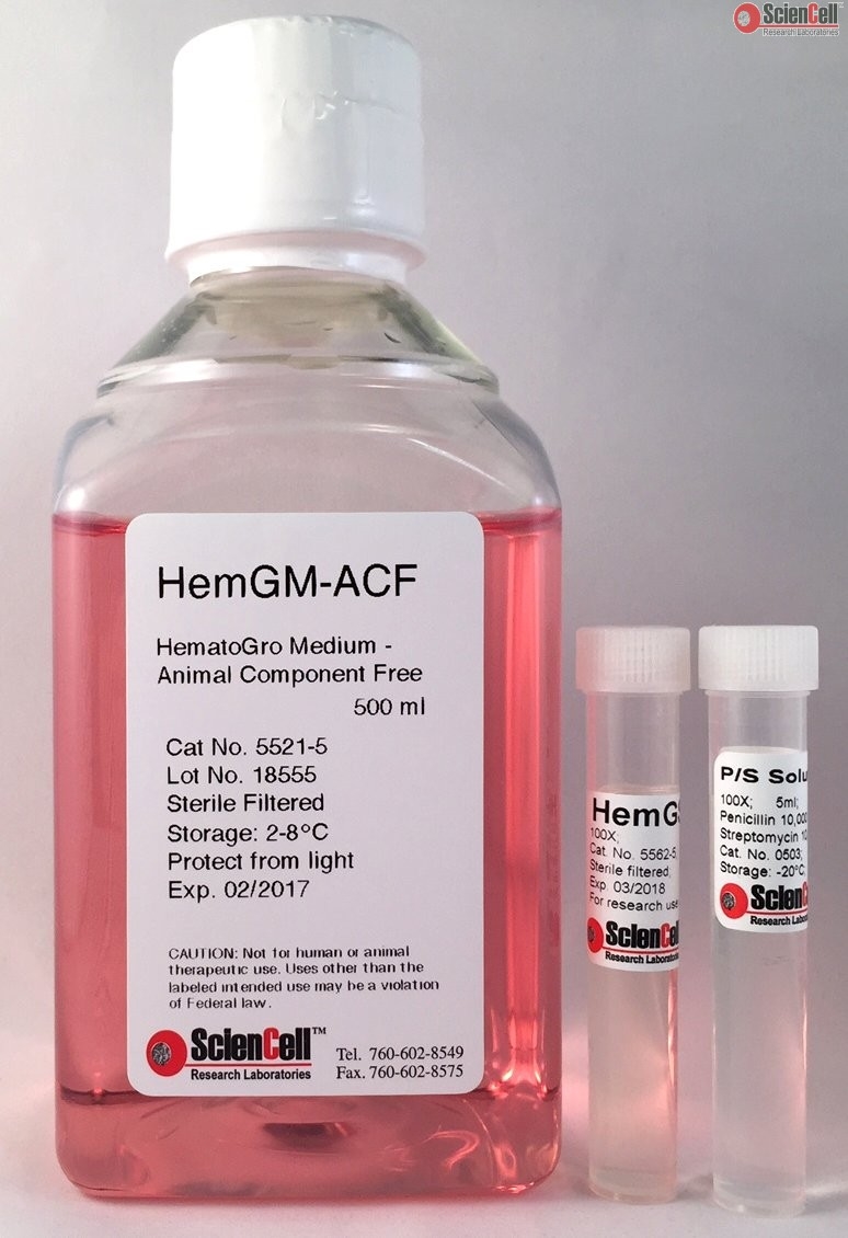 Human HematoGro Medium–Animal Component Free, 2 x 500 ml