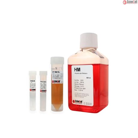 Human Hepatocyte Medium, 2x 500 ml