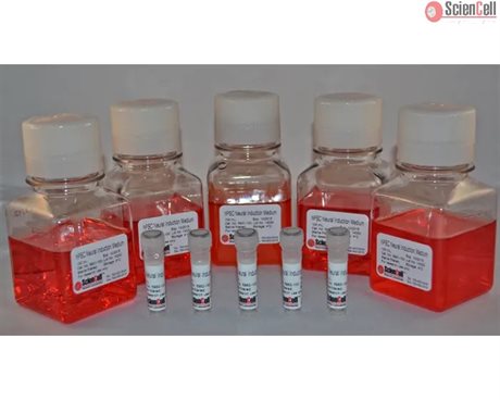 HPSC Neural Induction Medium