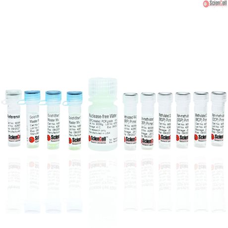 <strong>NEW!</strong> Human Cancer Promoter Methylation qPCR Assay Kit