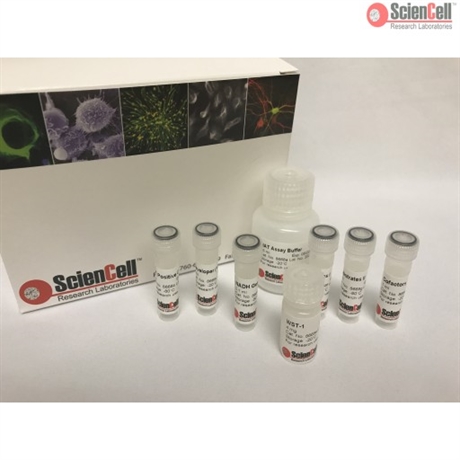 Colorimetric Histone Acetyltransferase Activity Assay