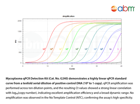 Mycoplasma qPCR Detection Kit