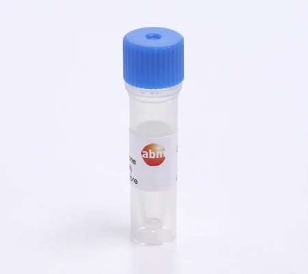 qPCR Retrovirus Titer Kit