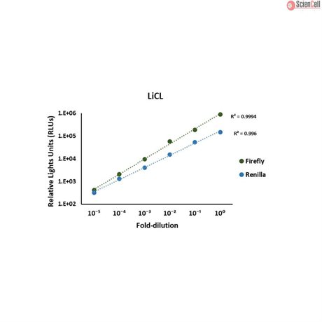 Luciferase Assay Kit