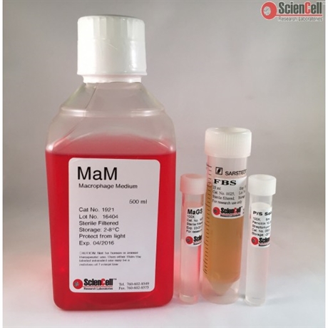 Human Macrophage Medium-complete 2 x 500 ml