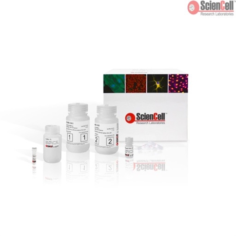 Viral RNA Isolation Kit