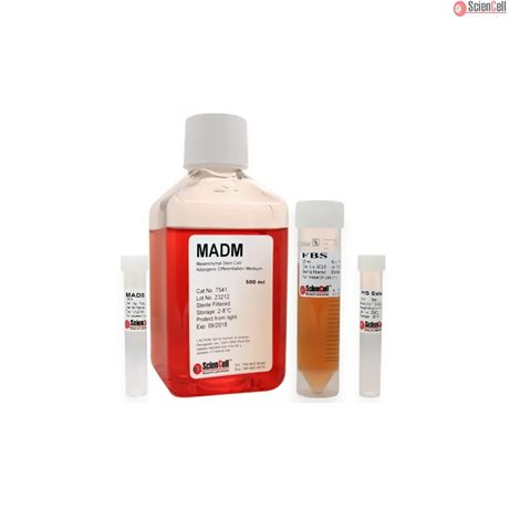 Human Mesenchymal Stem Cell Adipogenic Differentiation Medium-phenol red free, 1x 500 ml