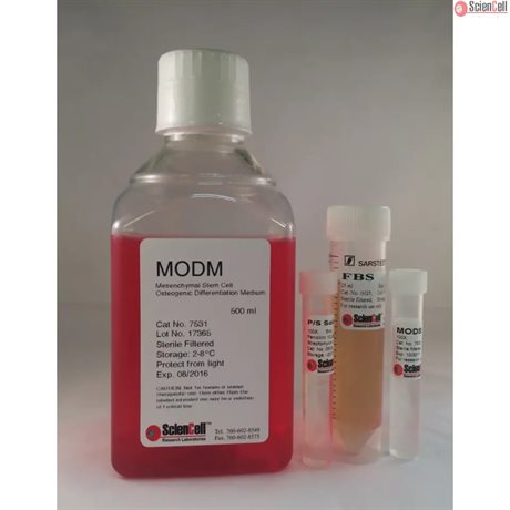 Human Mesenchymal Stem Cell Osteogenic Differentiation Medium-phenol red free, 2 x 500 ml