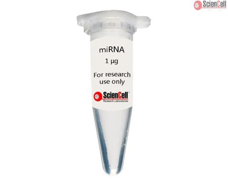 Human Epidermal Keratinocyte MicroRNA, 1 μg