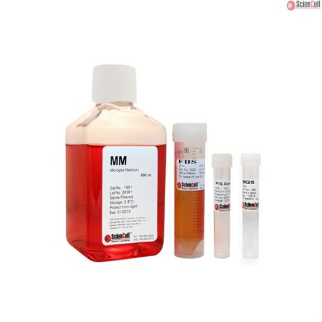 Phenol Red Free Human Microglia Medium-complete, 2 x 500 ml