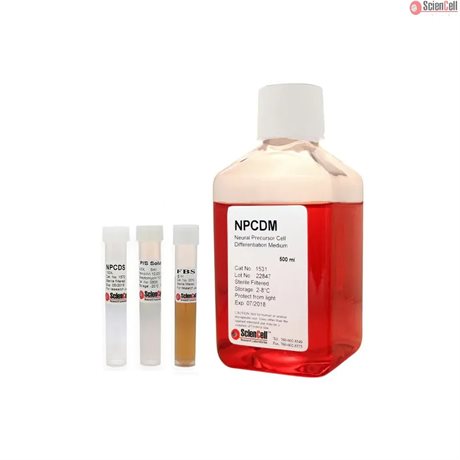 Neural Precursor Cell Differentiation Medium-complete 2x 500 ml
