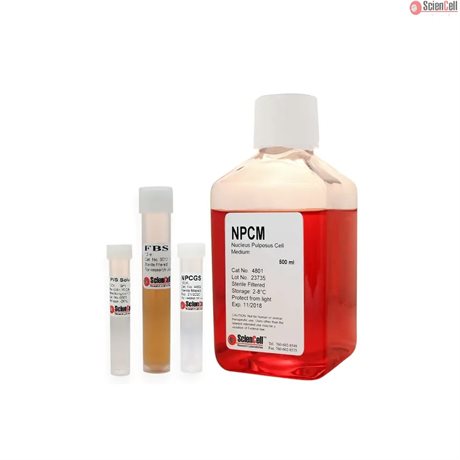 Human Nucleus Pulposus Cell Medium-basal-phenol red free, 2x 500 ml