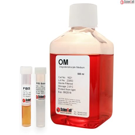 Phenol Red Free Oligodendrocyte Medium-complete, 2 x 500 ml